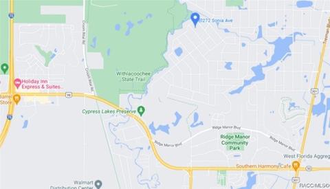 7272 Sonia Ave, Webster, FL 33597 photo 3
