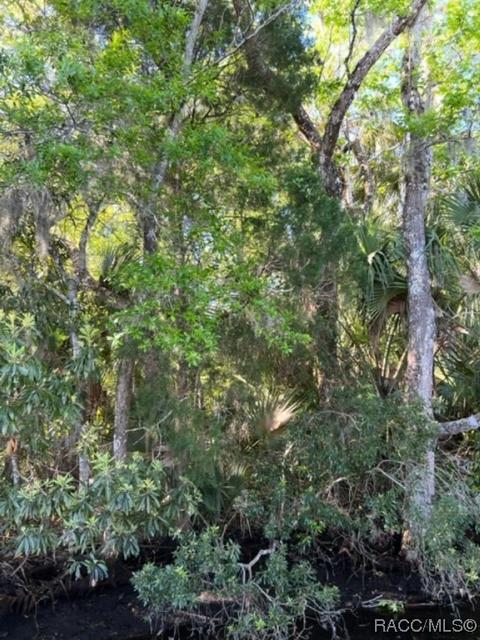10569 W Crystal Waters Path, Crystal River, FL 34429