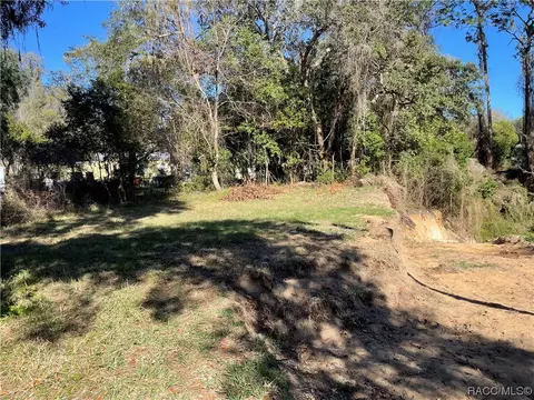 4535 N Remington Ter, Hernando, FL 34442 photo 1