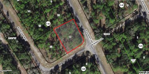 9830 N Quarry Dr, Citrus Springs, FL 34434