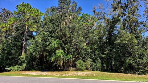 2337 N Heritage Oaks Path, Hernando, FL 34442 photo 4