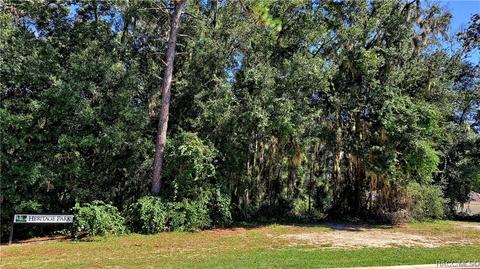 2337 N Heritage Oaks Path, Hernando, FL 34442 photo 3