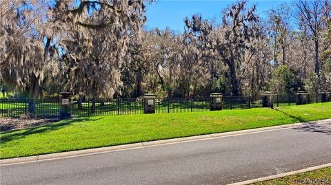 2337 N Heritage Oaks Path, Hernando, FL 34442 photo 8