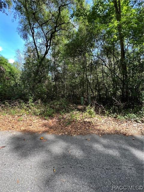 6749 E Dogwood Hammock Dr, Inverness, FL 34453