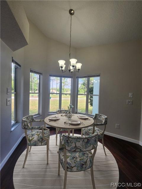 51 E Dakota Ct, Hernando, FL 34442 photo 10