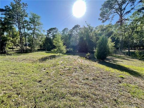 12460 S Aster Pt, Floral City, FL 34436
