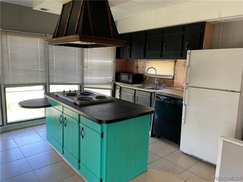 4274 E Alabama Ln, Hernando, FL 34442 photo 10