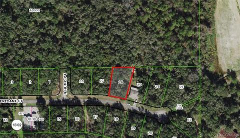 93 W Eridani Ct, Citrus Springs, FL 34434