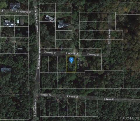 7026 E Munoz Ct, Hernando, FL 34442 photo 2