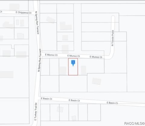 7026 E Munoz Ct, Hernando, FL 34442 photo 6