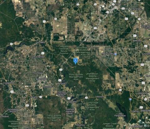 7026 E Munoz Ct, Hernando, FL 34442 photo 3