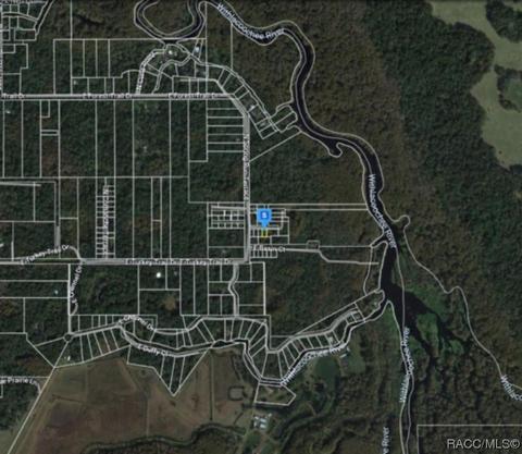 7026 E Munoz Ct, Hernando, FL 34442 photo 4