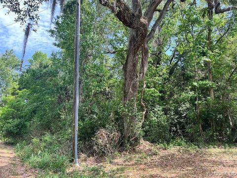 9322 W Wisconsin Ct, Crystal River, FL 34428