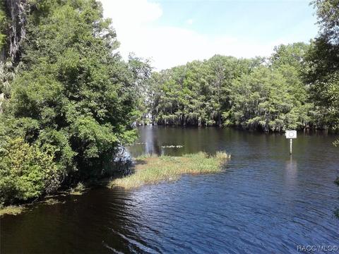 3136 E Buckskin Ln, Hernando, FL 34442 photo 21