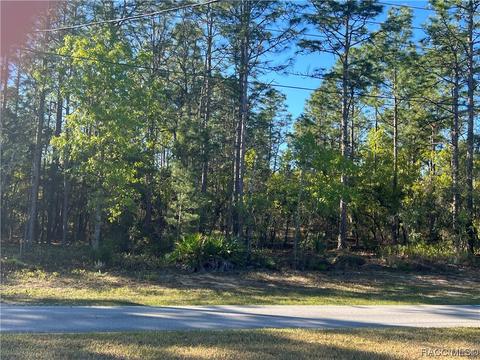 144 Cypress Blvd E, Homosassa, FL 34446