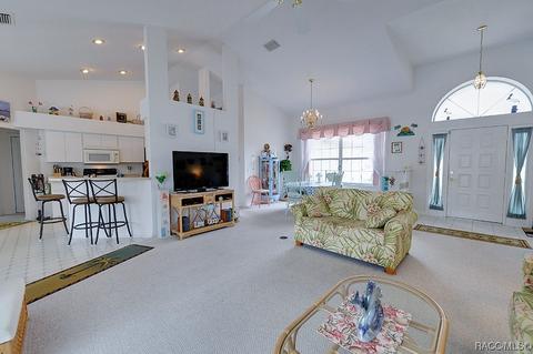 3638 E Arbor Lakes Dr, Hernando, FL 34442 photo 8