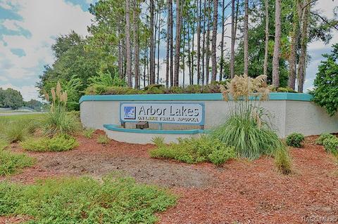 3638 E Arbor Lakes Dr, Hernando, FL 34442 photo 41
