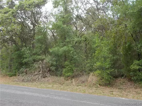 8 S Easy St, Lecanto, FL 34461
