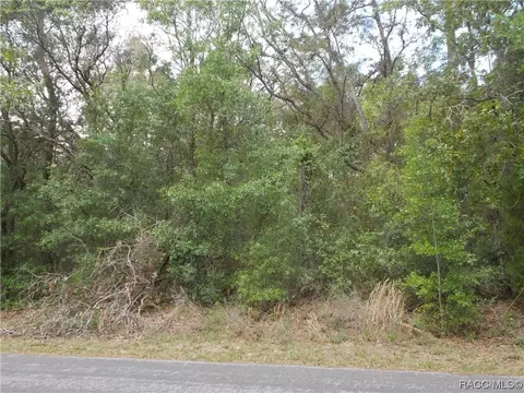 8 S Easy St, Lecanto, FL 34461 photo 2