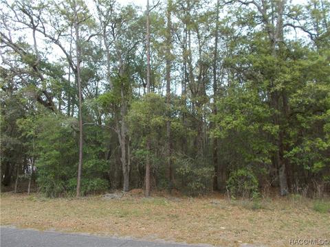 279 N Kinglet Ave, Hernando, FL 34442 photo 2
