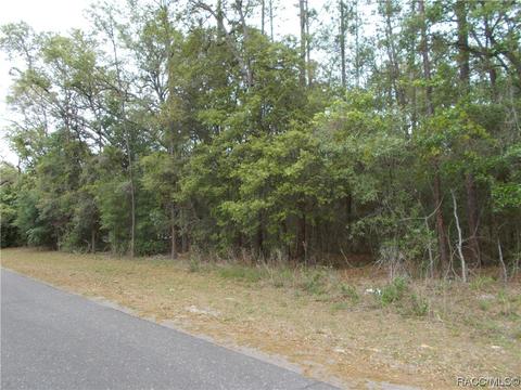 279 N Kinglet Ave, Hernando, FL 34442