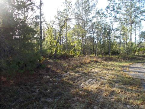 6925 N Swan Pt, Citrus Springs, FL 34434