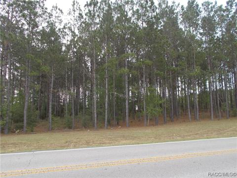 199 S Kensington Ave, Lecanto, FL 34461
