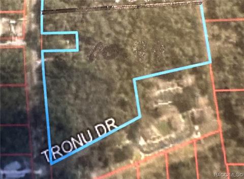 230 40 Hwy E, Inglis, FL 34449 photo 8