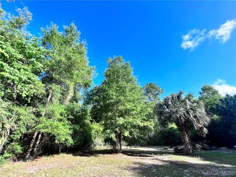 230 40 Hwy E, Inglis, FL 34449 photo 1