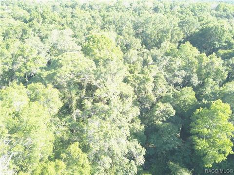 230 40 Hwy E, Inglis, FL 34449 photo 7