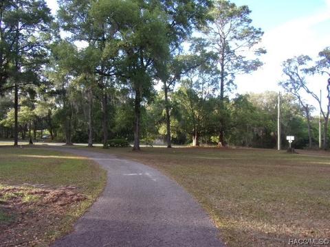 2020 E Dearborn Dr, Hernando, FL 34442 photo 9