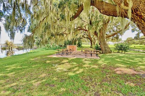 4534 N Grass Island Ter, Hernando, FL 34442 photo 57
