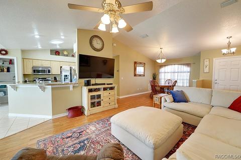 4534 N Grass Island Ter, Hernando, FL 34442 photo 9