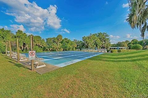 4534 N Grass Island Ter, Hernando, FL 34442 photo 53