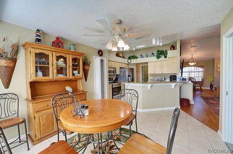 4534 N Grass Island Ter, Hernando, FL 34442 photo 17