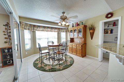 4534 N Grass Island Ter, Hernando, FL 34442 photo 16