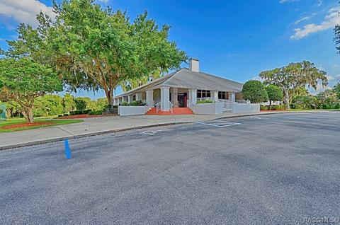 4534 N Grass Island Ter, Hernando, FL 34442 photo 46
