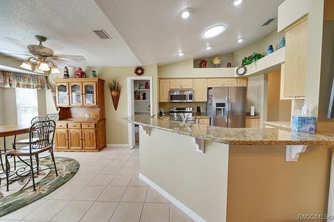 4534 N Grass Island Ter, Hernando, FL 34442 photo 12