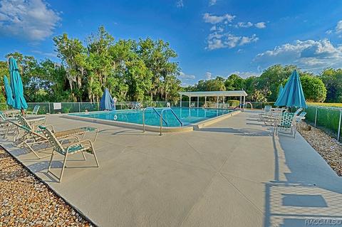 4534 N Grass Island Ter, Hernando, FL 34442 photo 48