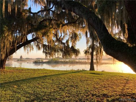 3629 E Cove Park Trl, Hernando, FL 34442 photo 26