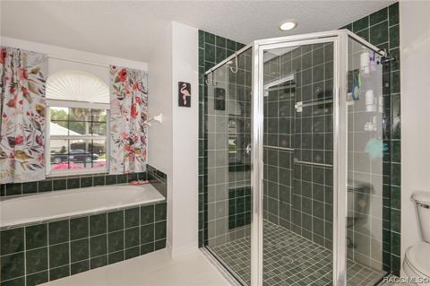 3629 E Cove Park Trl, Hernando, FL 34442 photo 18