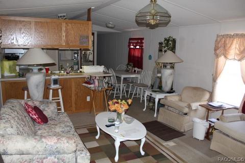 1035 E Winnetka St, Hernando, FL 34442 photo 11