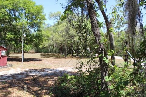 1035 E Winnetka St, Hernando, FL 34442 photo 3