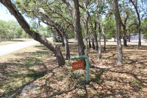 1035 E Winnetka St, Hernando, FL 34442 photo 4