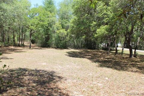 1035 E Winnetka St, Hernando, FL 34442 photo 31