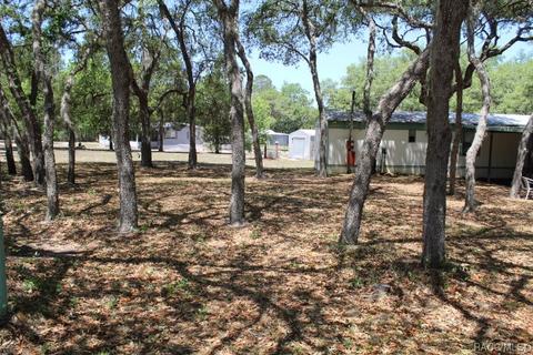 1035 E Winnetka St, Hernando, FL 34442 photo 5