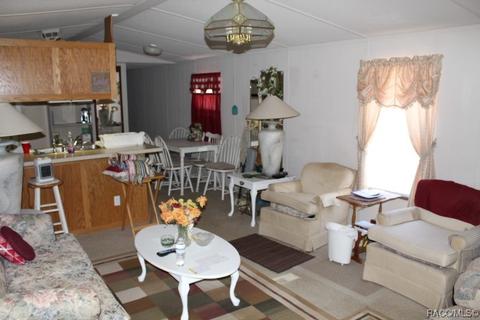 1035 E Winnetka St, Hernando, FL 34442 photo 10