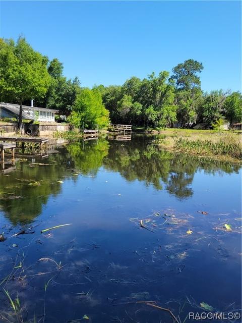 5990 N Tsala Apopka Dr, Hernando, FL 34442 photo 2