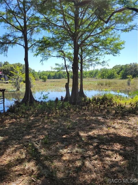 5990 N Tsala Apopka Dr, Hernando, FL 34442 photo 7