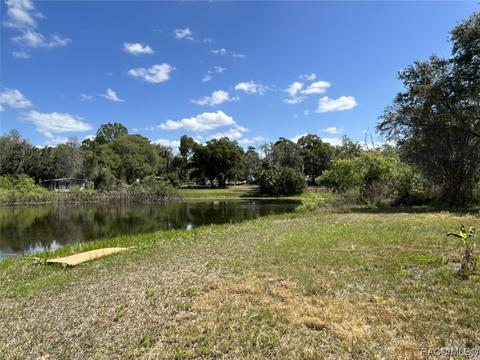 4561 E Dartmouth Ln, Hernando, FL 34442 photo 2